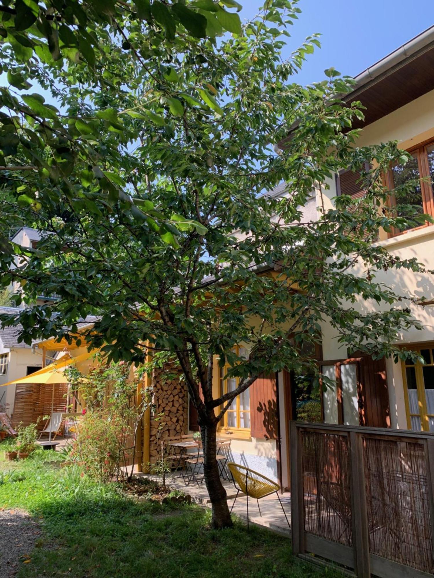 בנרס-דה-ביגור Charmant Appartement Sur Cour, Le Cerisier מראה חיצוני תמונה