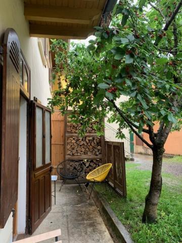 בנרס-דה-ביגור Charmant Appartement Sur Cour, Le Cerisier מראה חיצוני תמונה