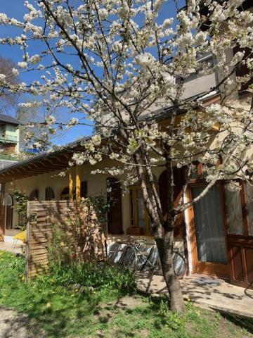 בנרס-דה-ביגור Charmant Appartement Sur Cour, Le Cerisier מראה חיצוני תמונה
